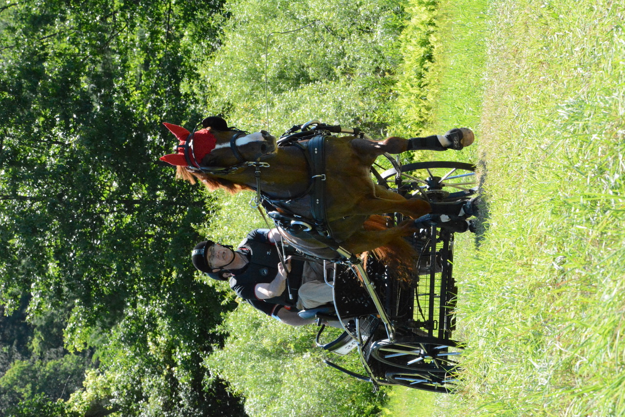 Canadian Drivers Kick Into High Gear for Summer Competitions